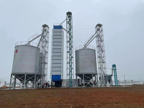 河南中瑞糧油機械詳述 面粉加工工藝流程與關鍵設備解析，兼論石化電力設備聯動