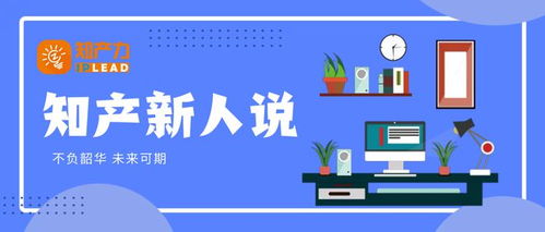 持續發現未知 知識產權與拍賣業務的雙重探索之旅