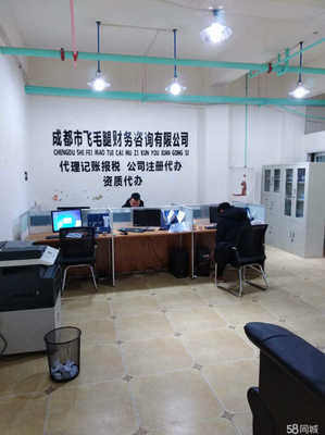 成都市飛毛腿財務咨詢 專業(yè)服務助力企業(yè)穩(wěn)健發(fā)展